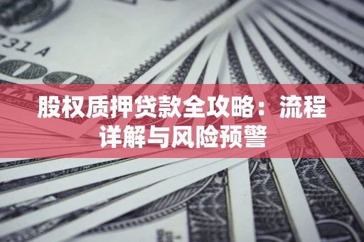 北京股权质押贷款全攻略：流程详解与风险预警