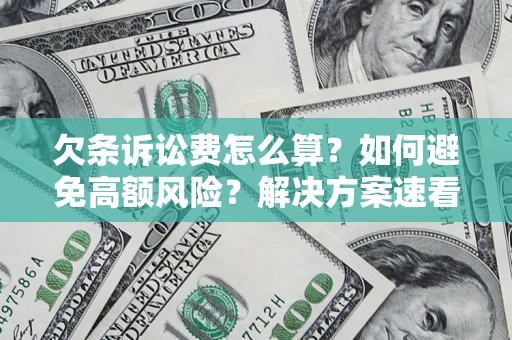 北京欠条诉讼费怎么算？如何避免高额风险？解决方案速看！