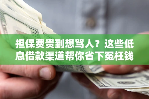 北京担保费贵到想骂人？这些低息借款渠道帮你省下冤枉钱