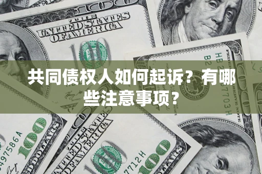 北京共同债权人如何起诉？有哪些注意事项？
